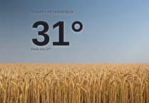 Warm sunshine for Petersfield today - here's what to expect