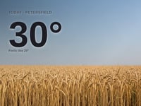 Petersfield: sunny day, high of 30°C