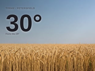 Petersfield: sunny day, high of 30°C
