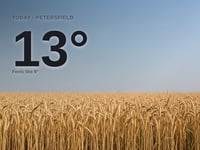 Petersfield weather: sunny Sunday with little chance of rain and a high of 13°C