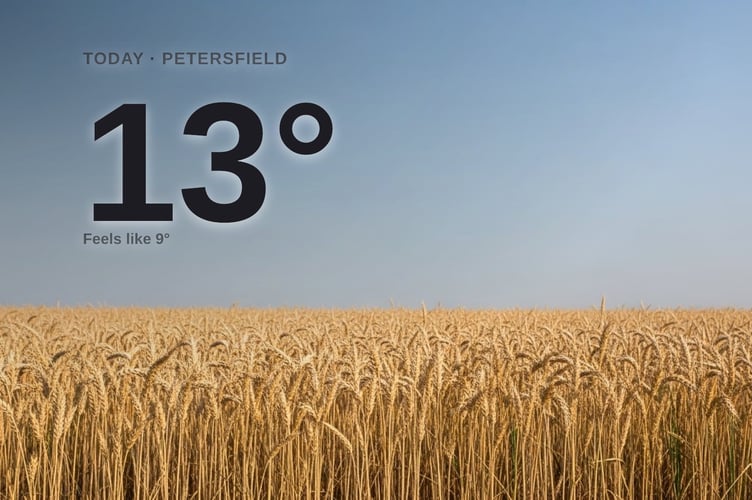 Petersfield weather: sunny Sunday with little chance of rain and a high of 13°C